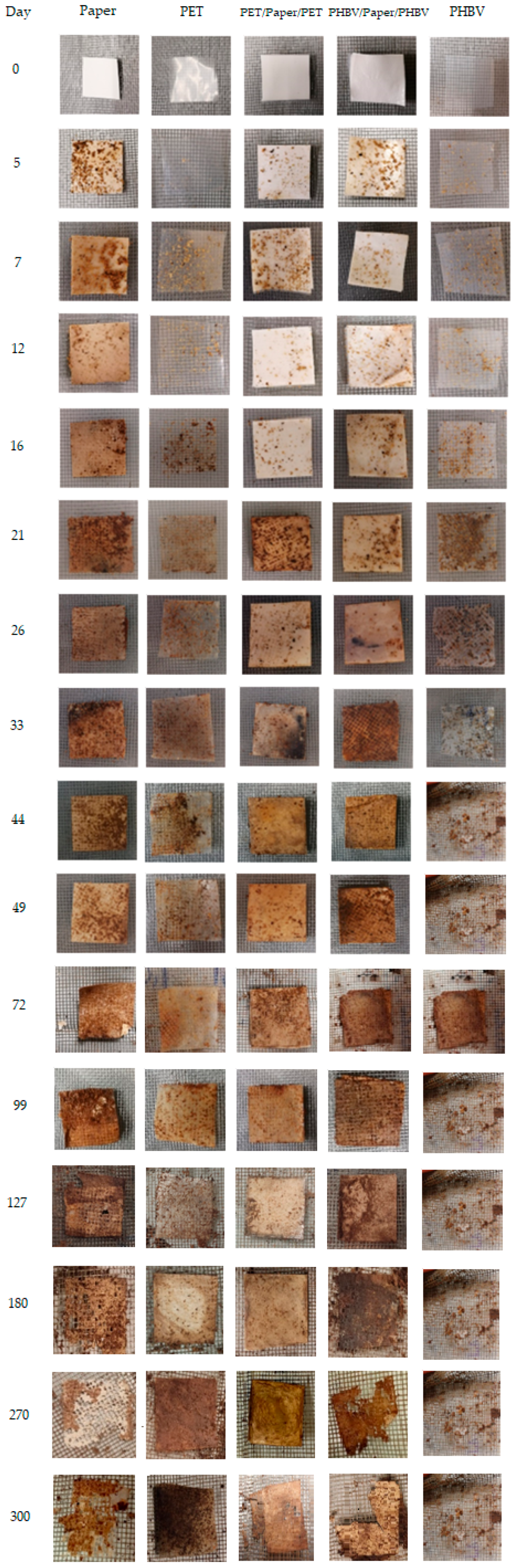 Applsci 13 00179 g009