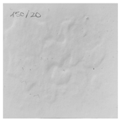 Applsci 13 00179 i012