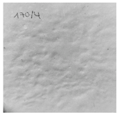 Applsci 13 00179 i014