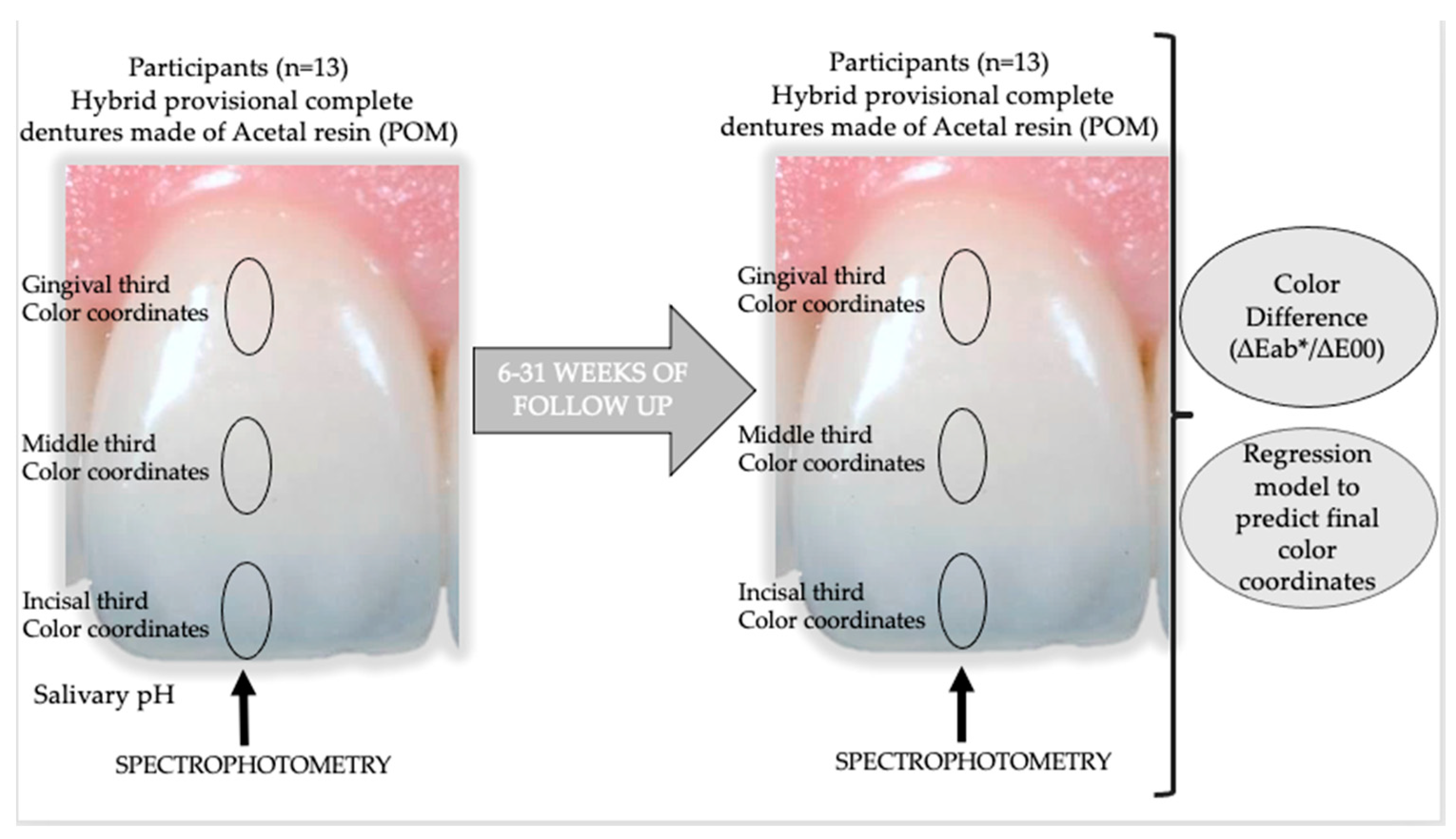 Applsci 13 00181 g001