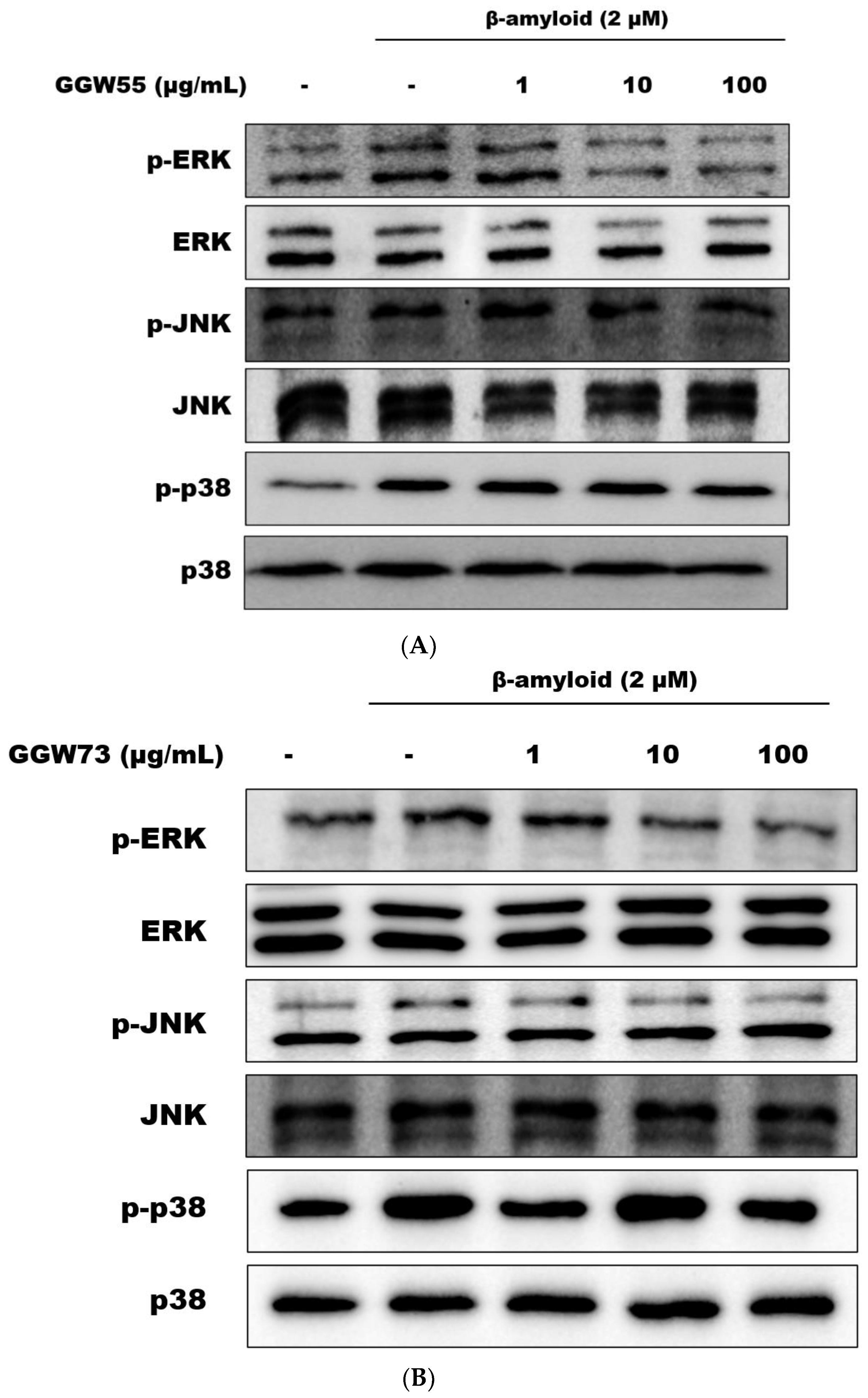 Applsci 13 00190 g004a