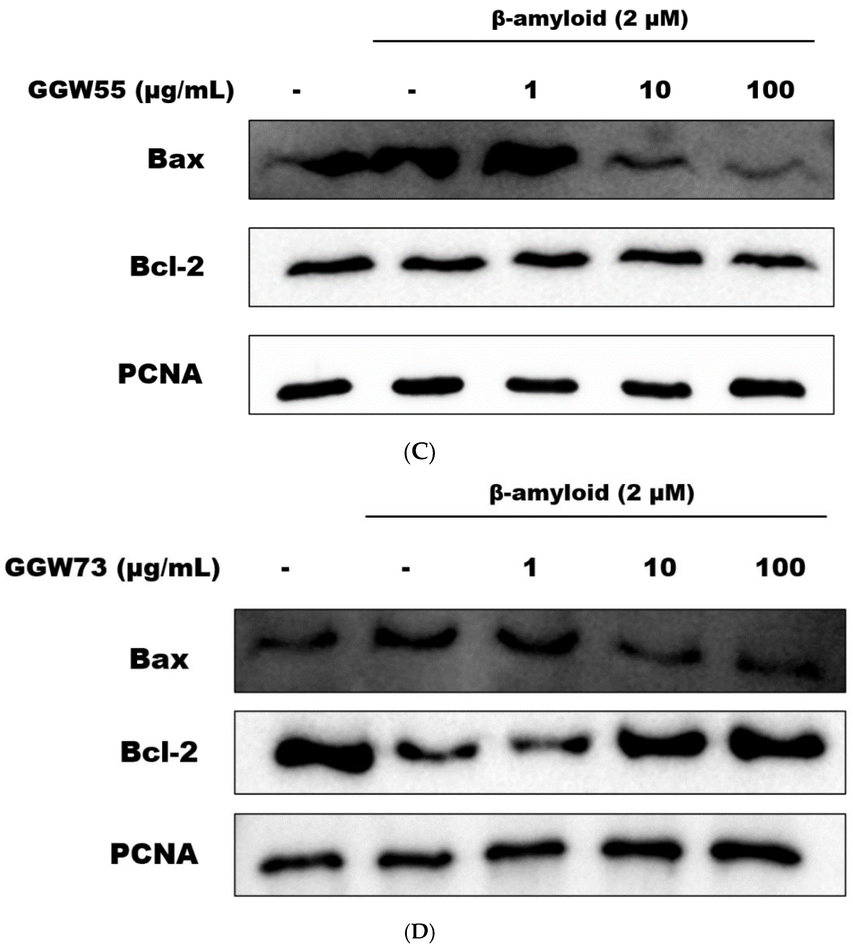 Applsci 13 00190 g005b