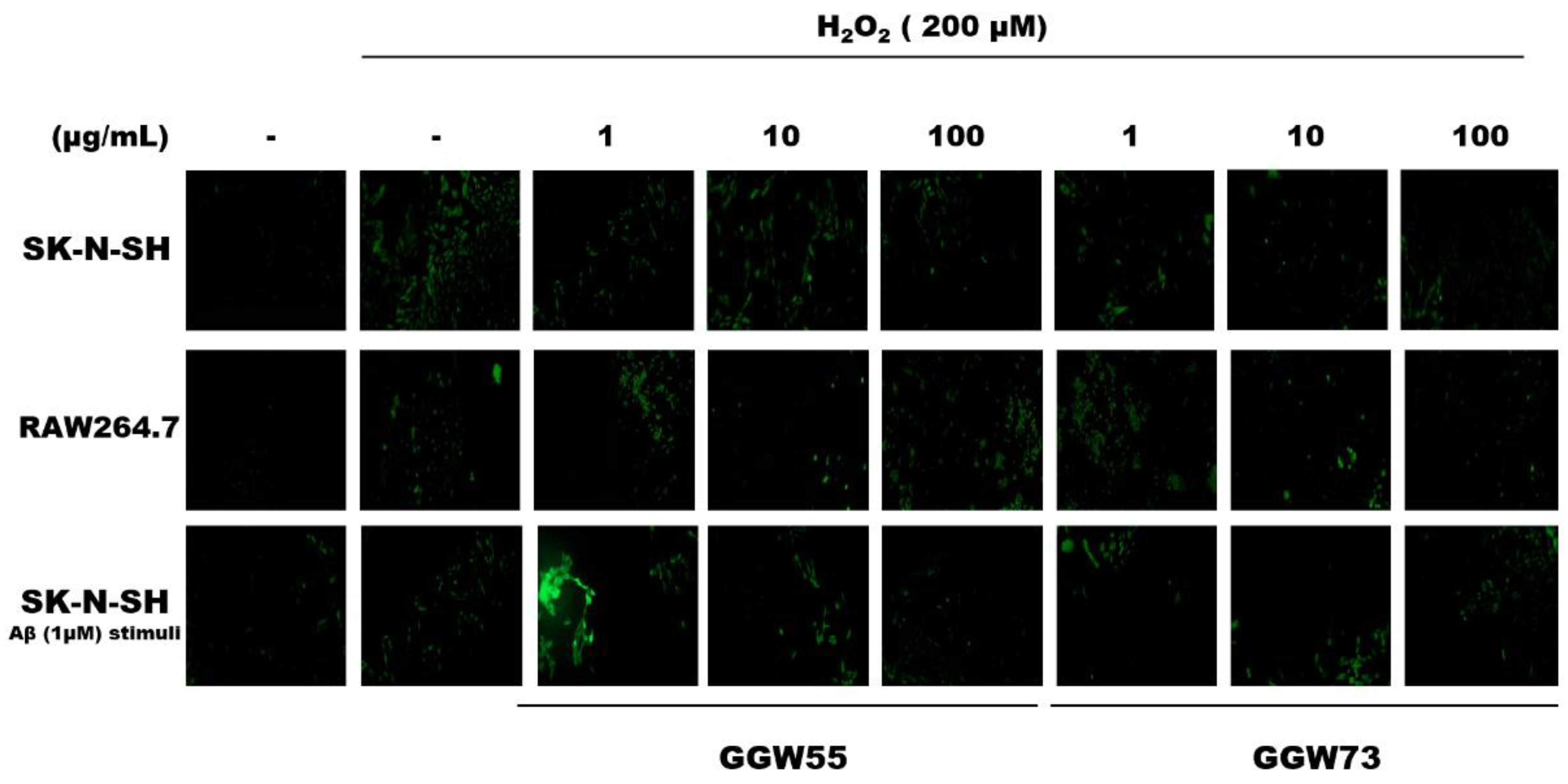 Applsci 13 00190 g006