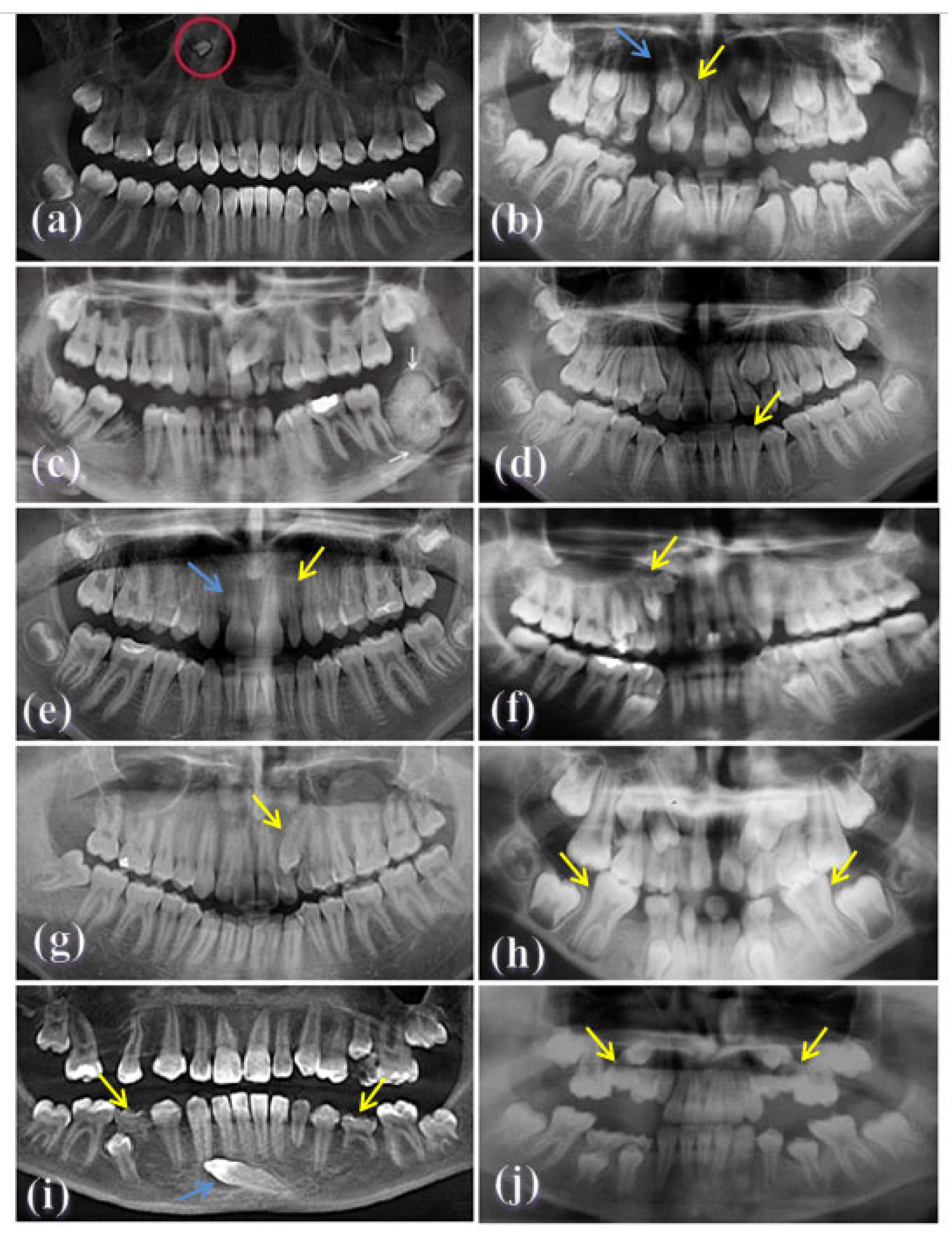 Applsci 13 00197 g002