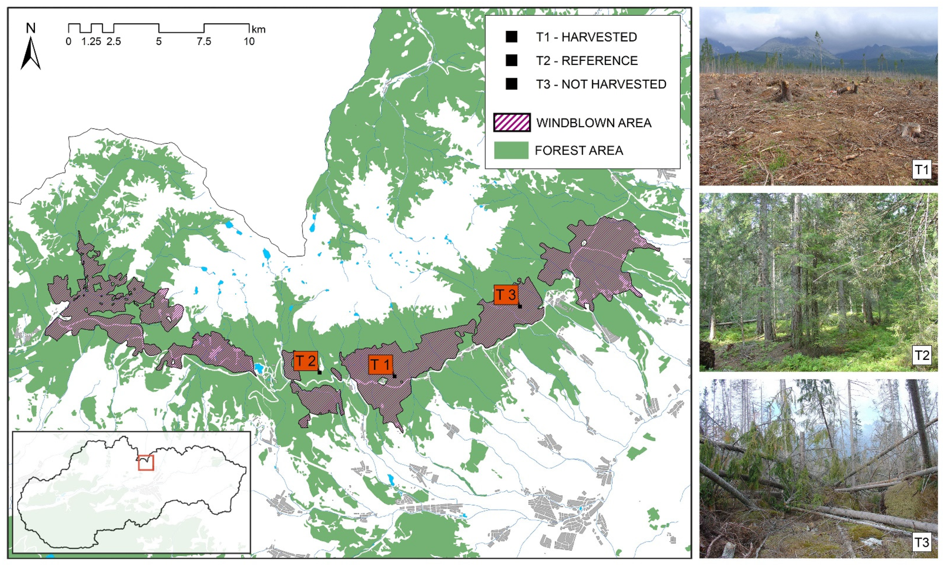 Applsci 13 00216 g001