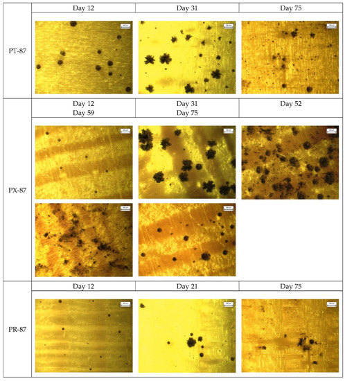 Applsci 13 00228 g0a1