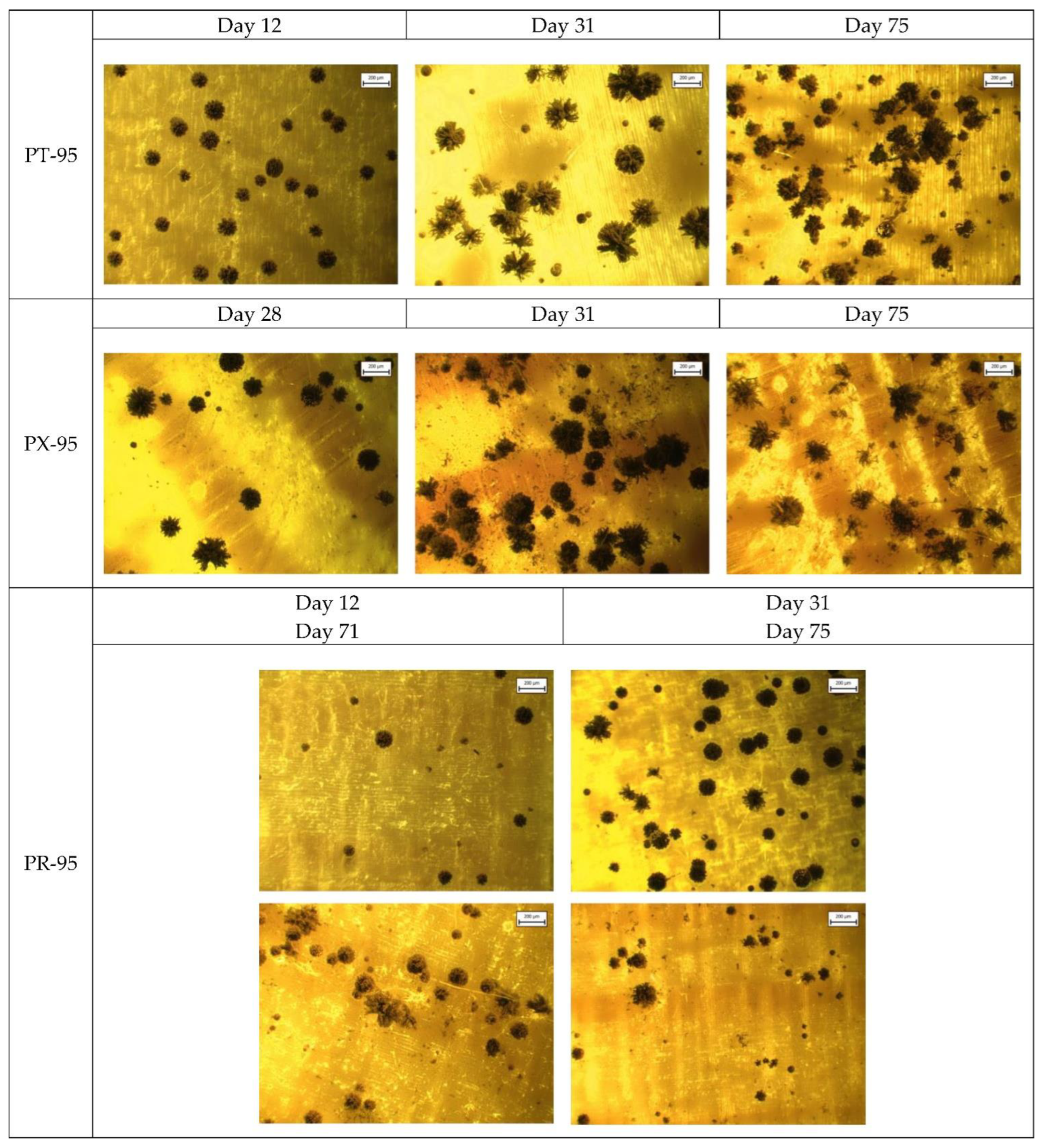 Applsci 13 00228 g0a2