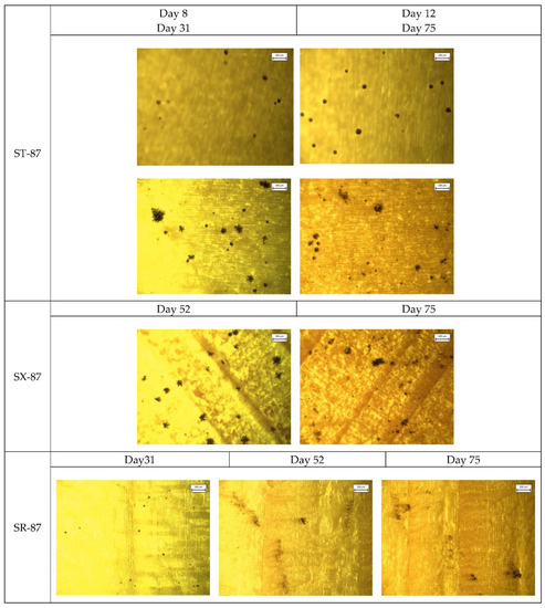 Applsci 13 00228 g0a3