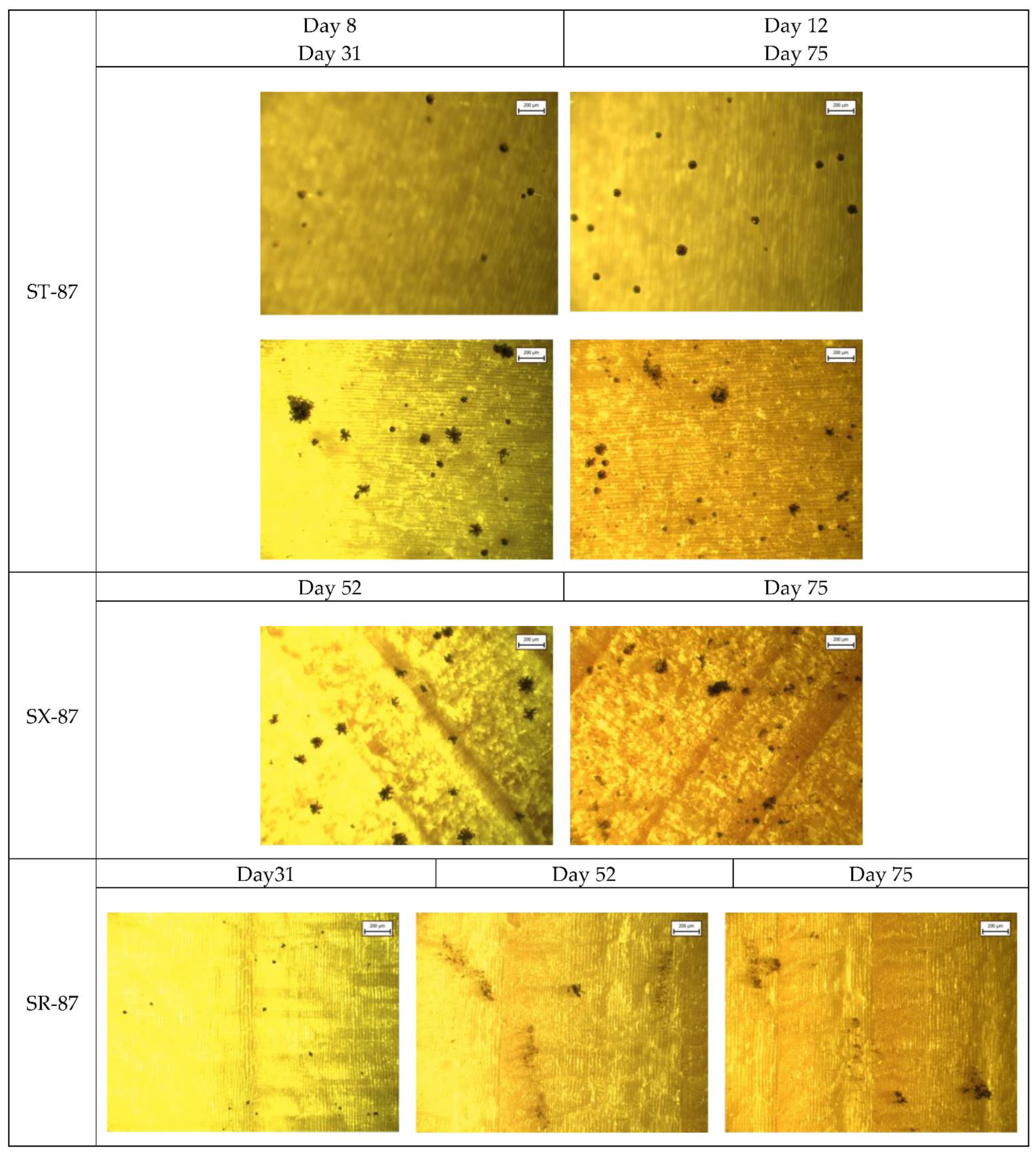 Applsci 13 00228 g0a3