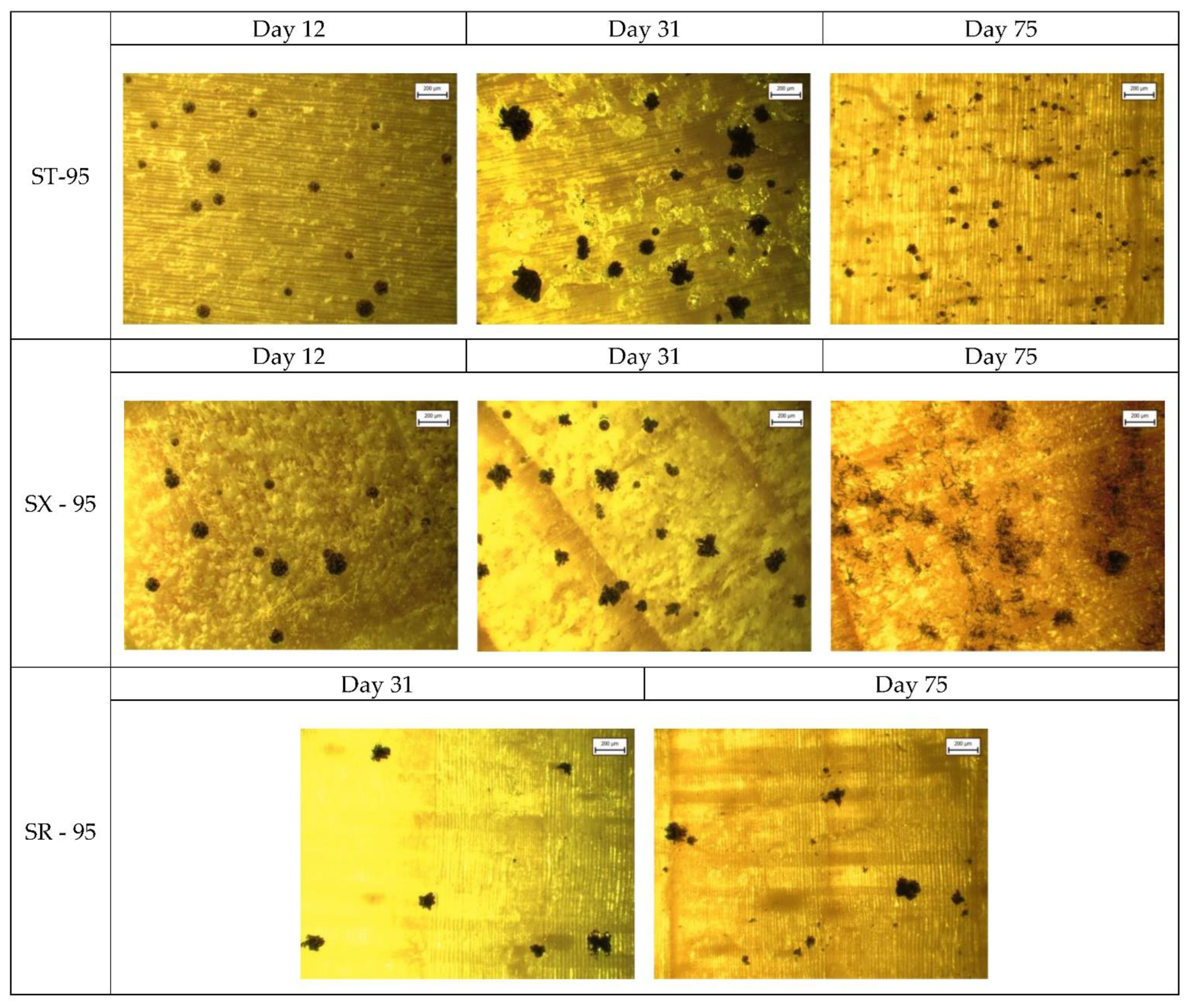 Applsci 13 00228 g0a4