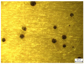 Applsci 13 00228 i005