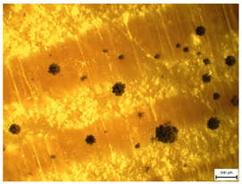 Applsci 13 00228 i006