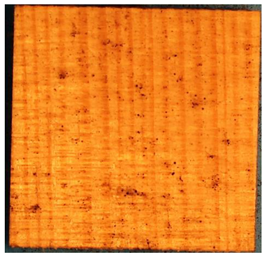 Applsci 13 00228 i010