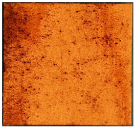 Applsci 13 00228 i011