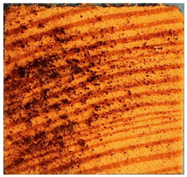 Applsci 13 00228 i012