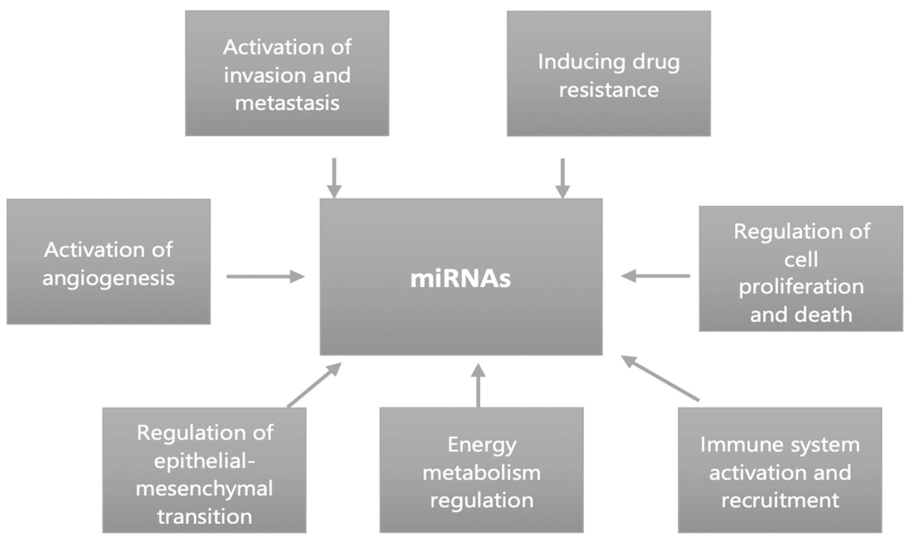 Applsci 13 00275 g001