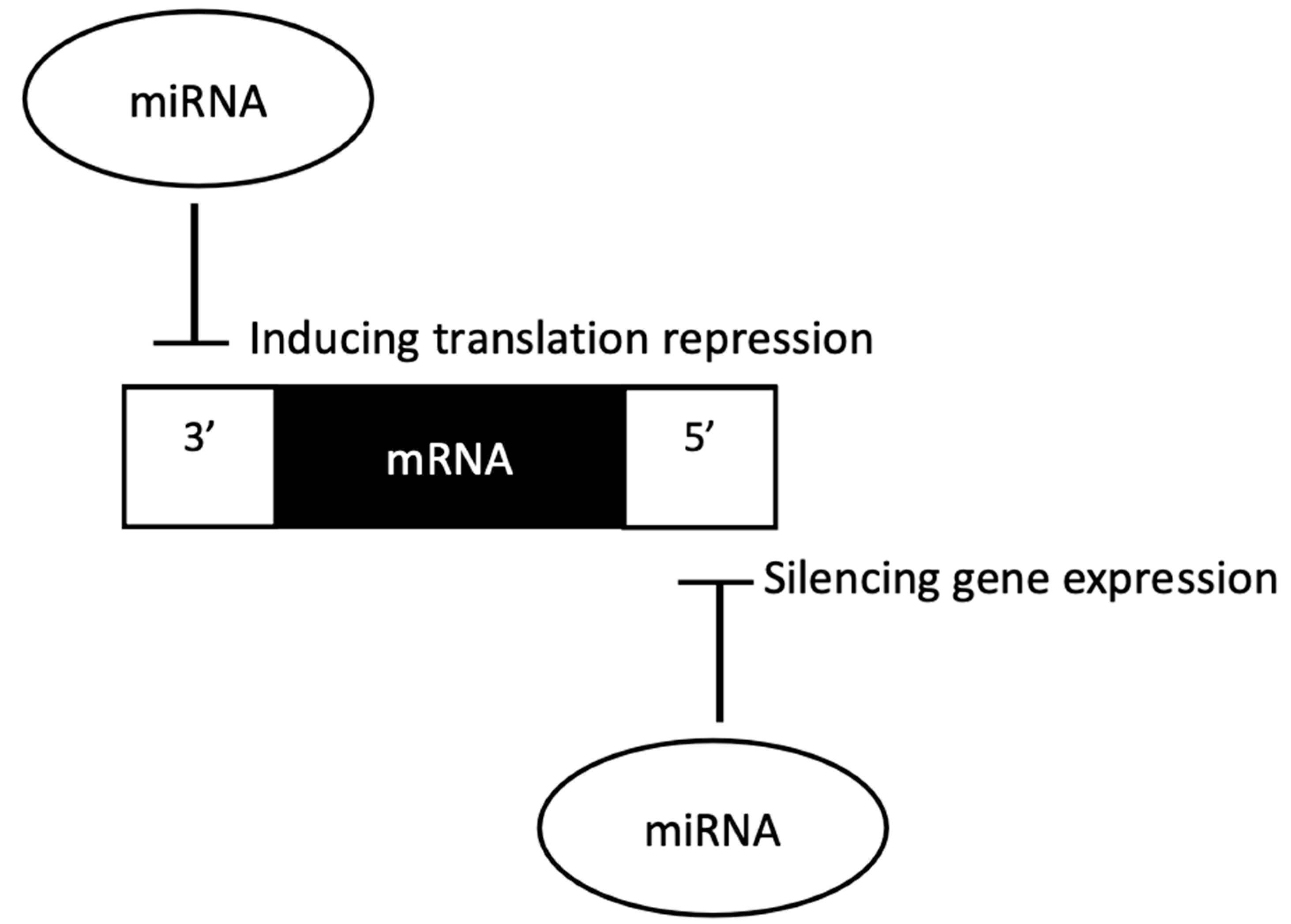 Applsci 13 00275 g002