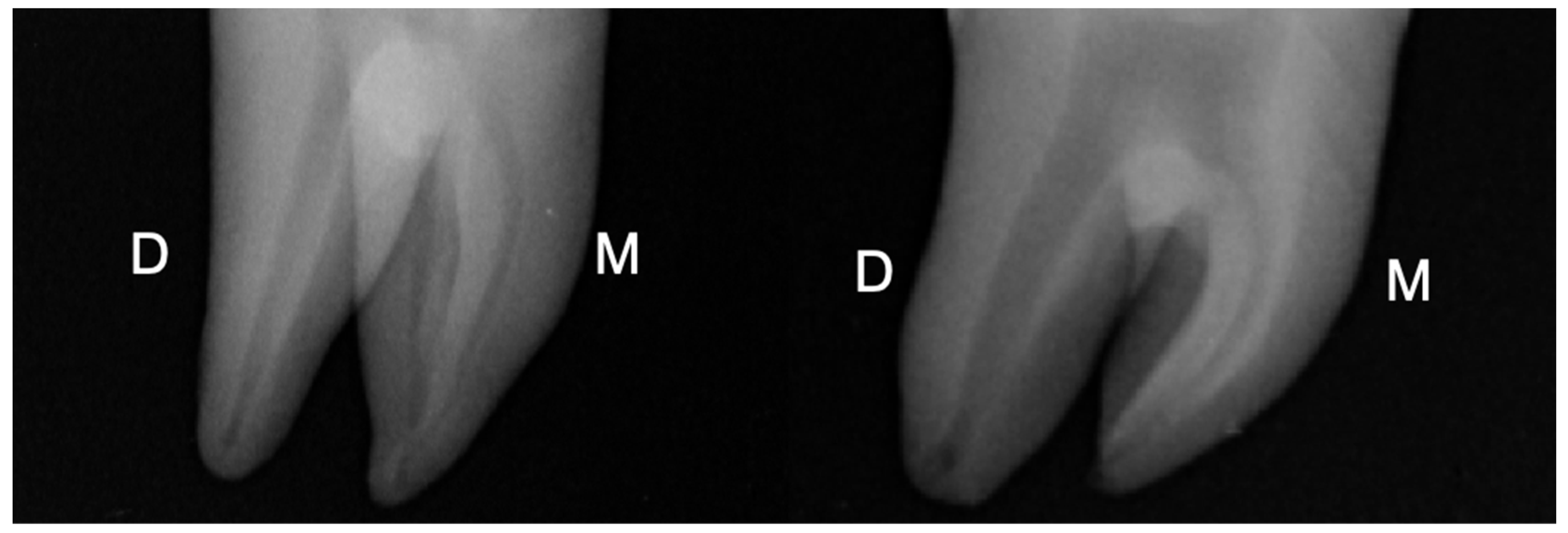 Applsci 13 00292 g001 Applsci 13 00292 g001