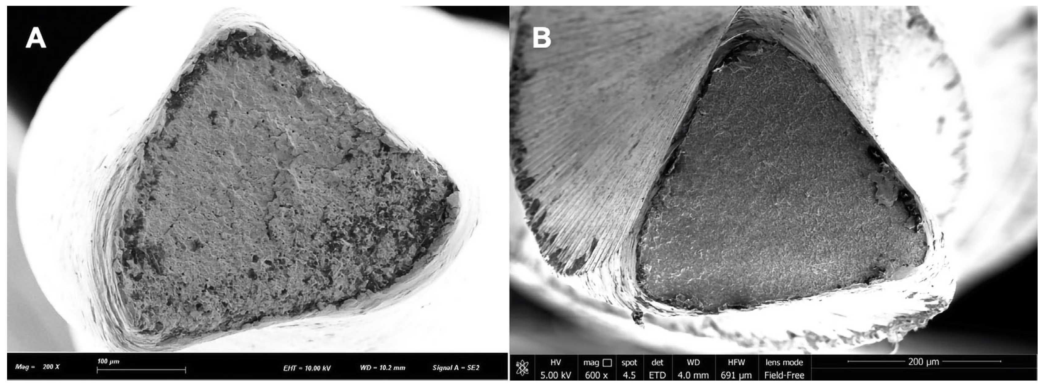 Applsci 13 00292 g002 Applsci 13 00292 g002