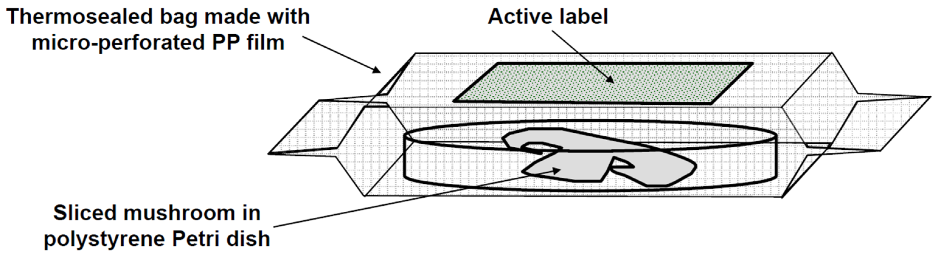 Applsci 13 00301 g001