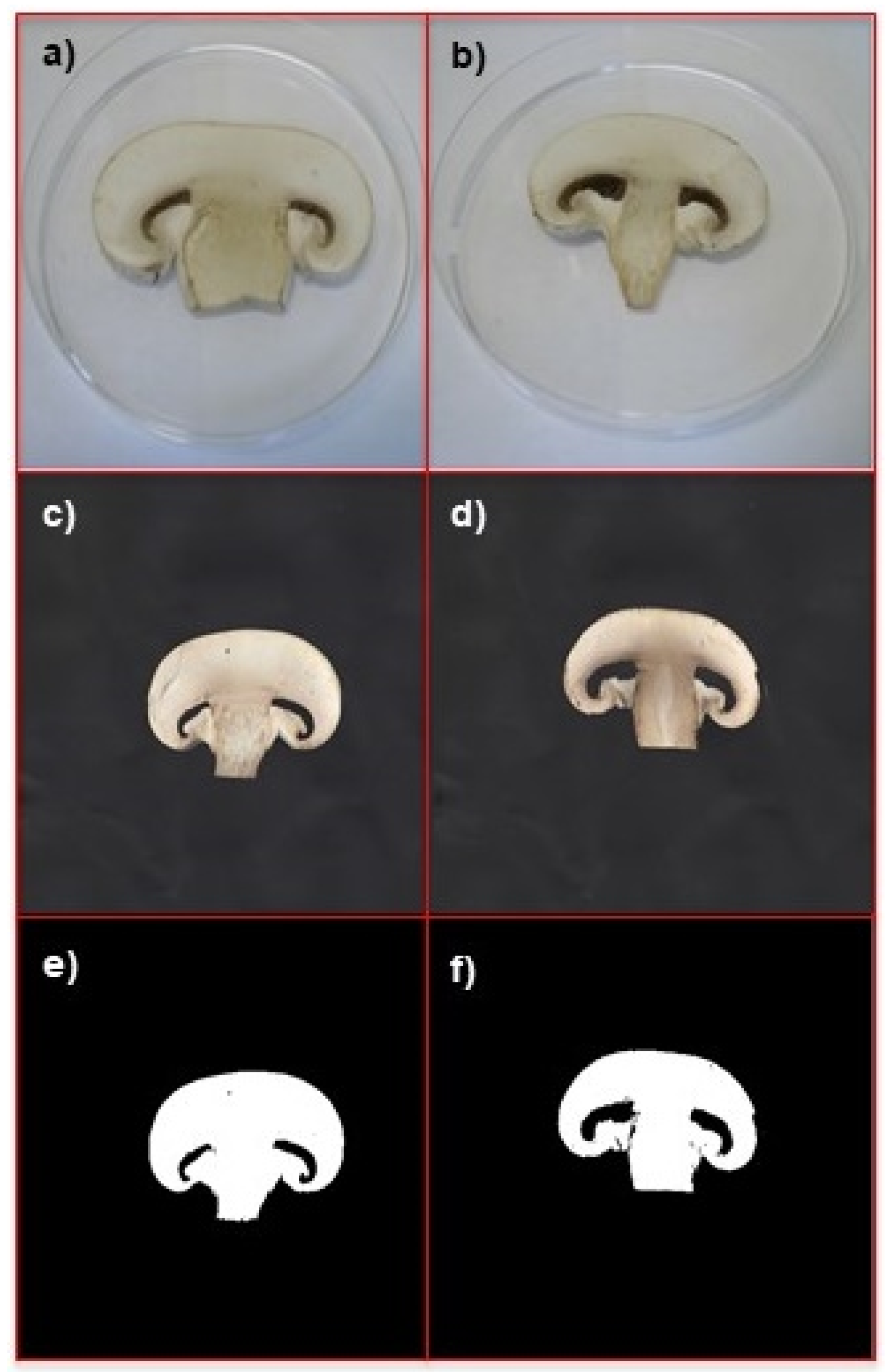 Applsci 13 00301 g003