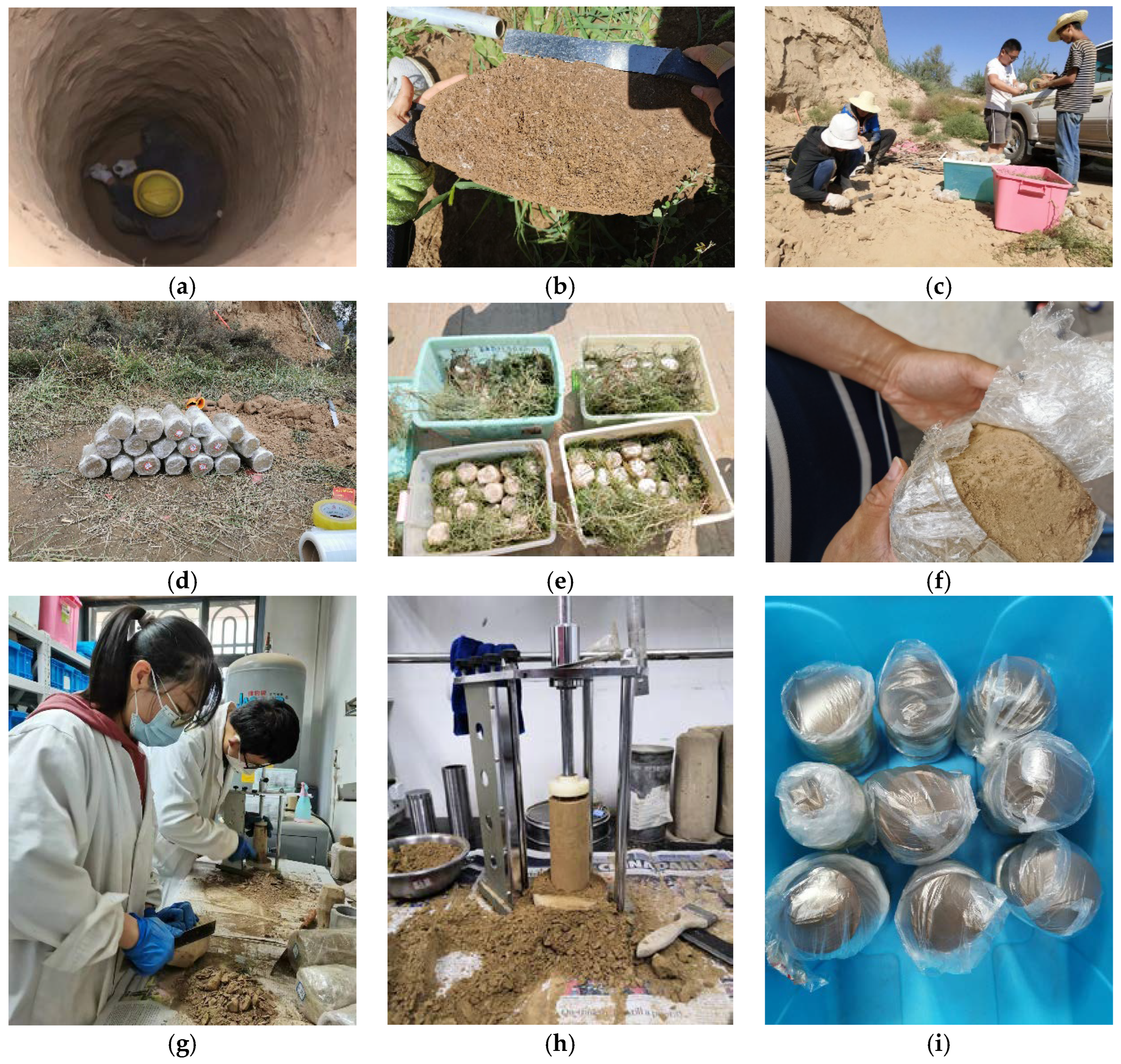 Applsci 13 00306 g003 Applsci 13 00306 g003