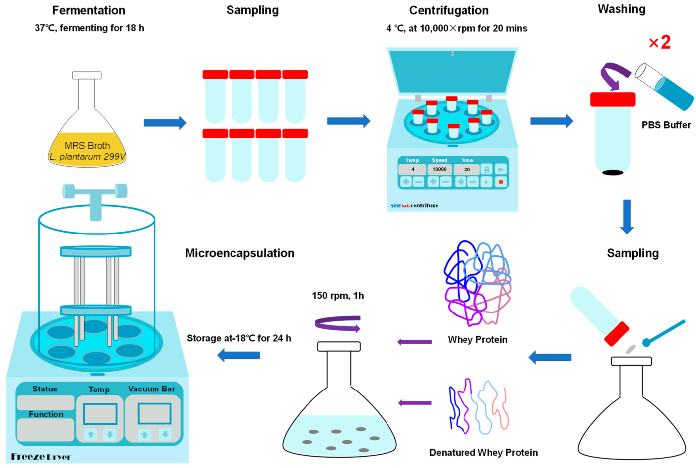 Applsci 13 00318 g001