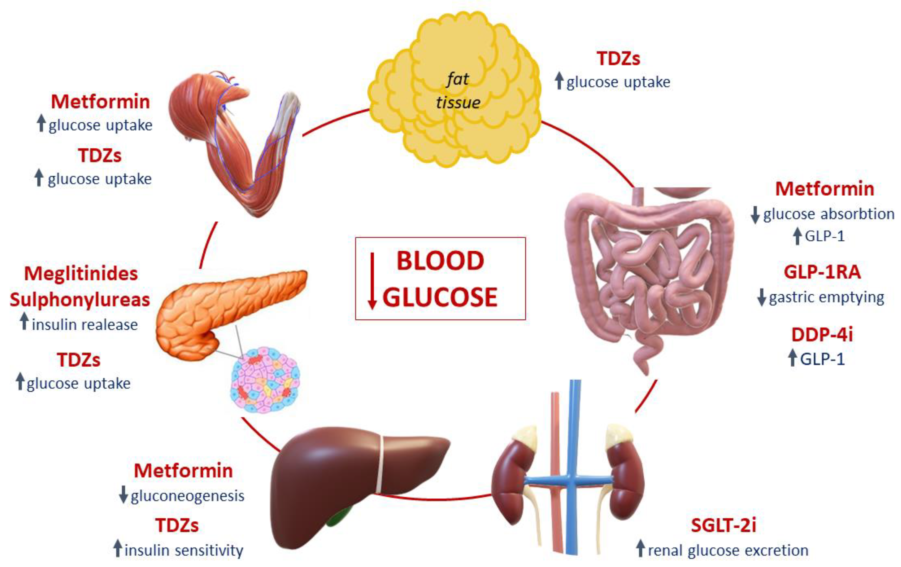 Applsci 13 00349 g001