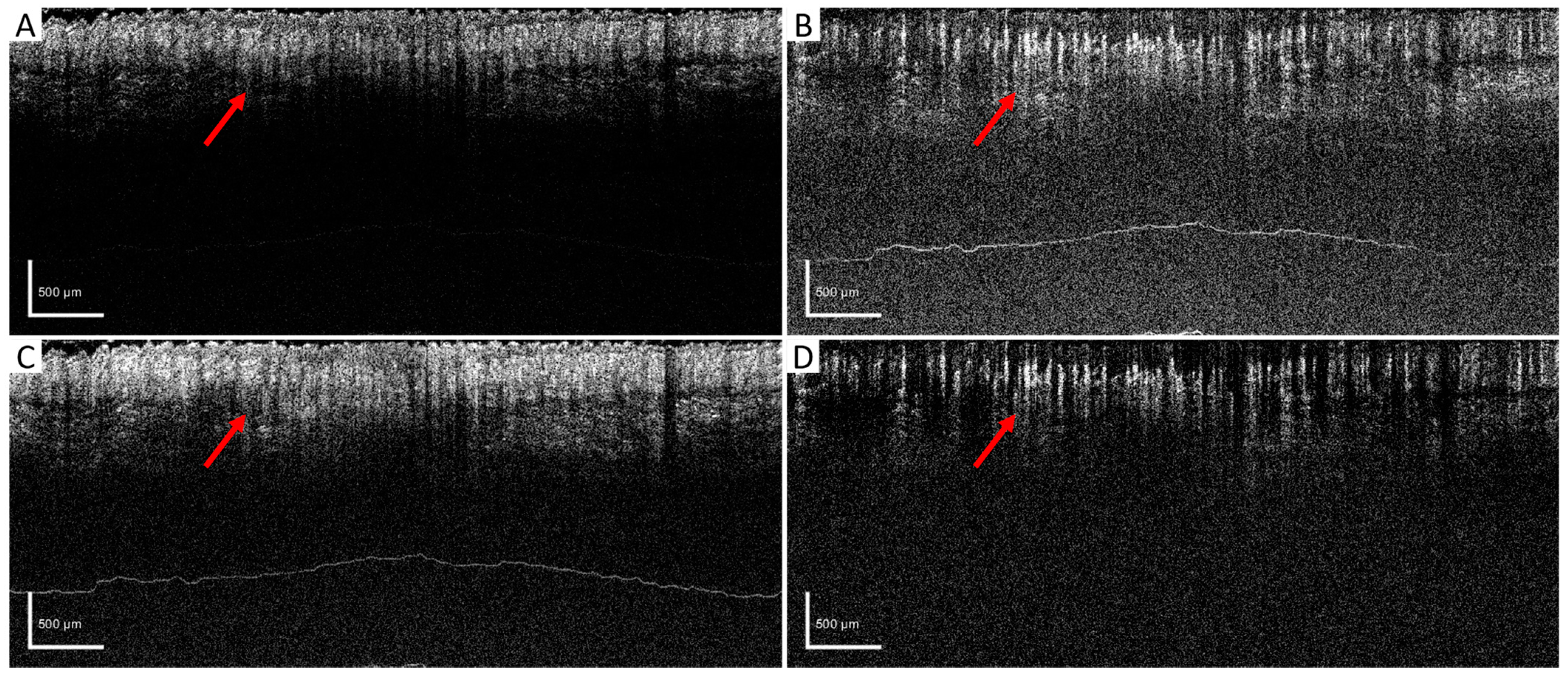 Applsci 13 00378 g004