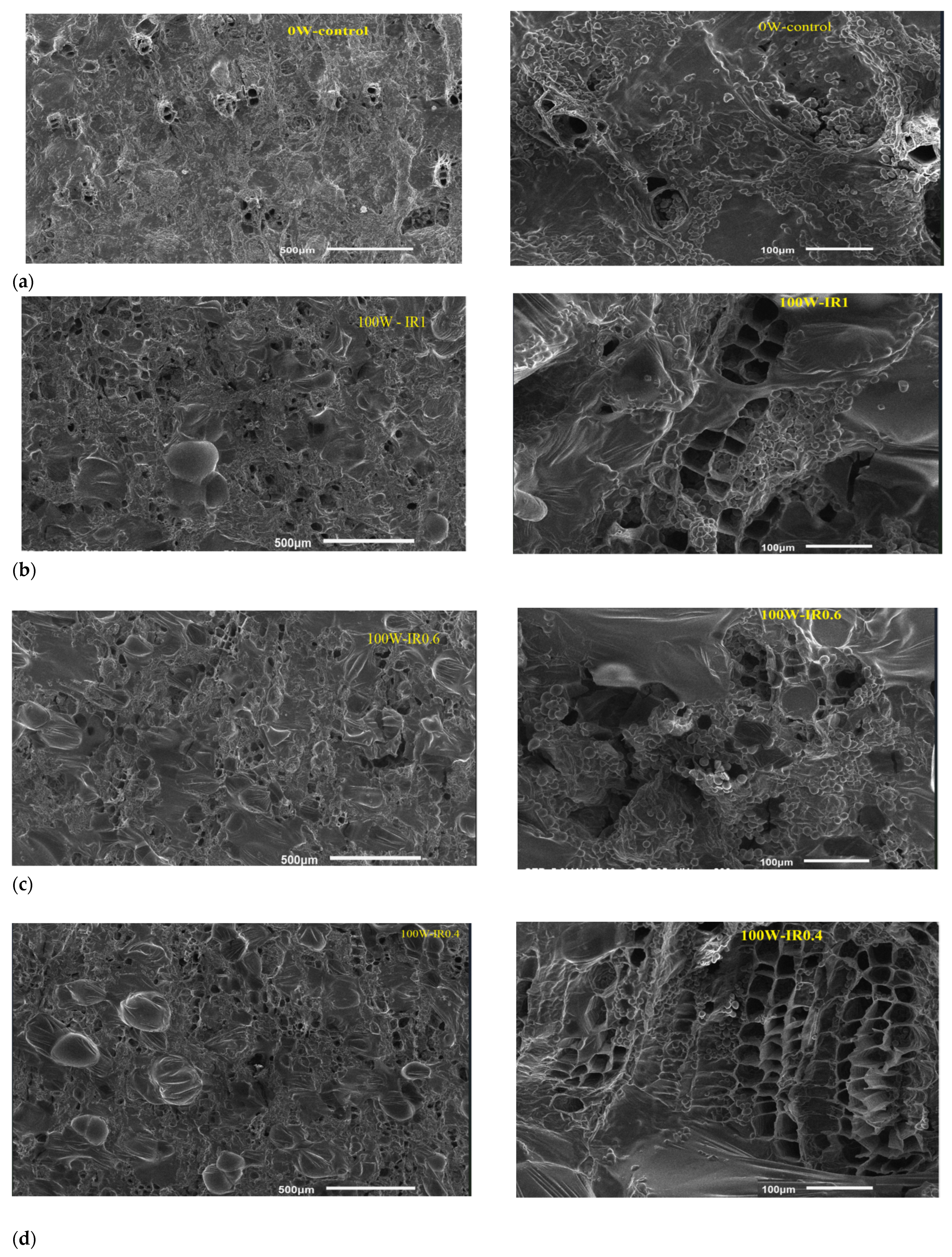 Applsci 13 00408 g011