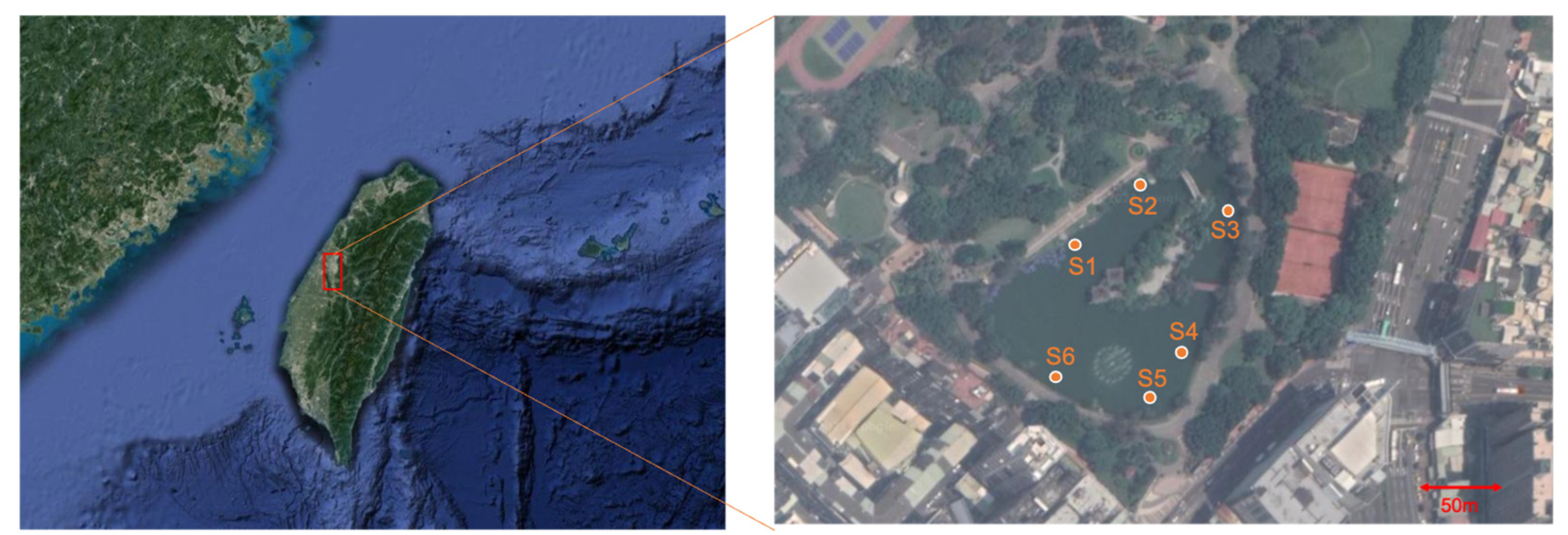 Applsci 13 00451 g001