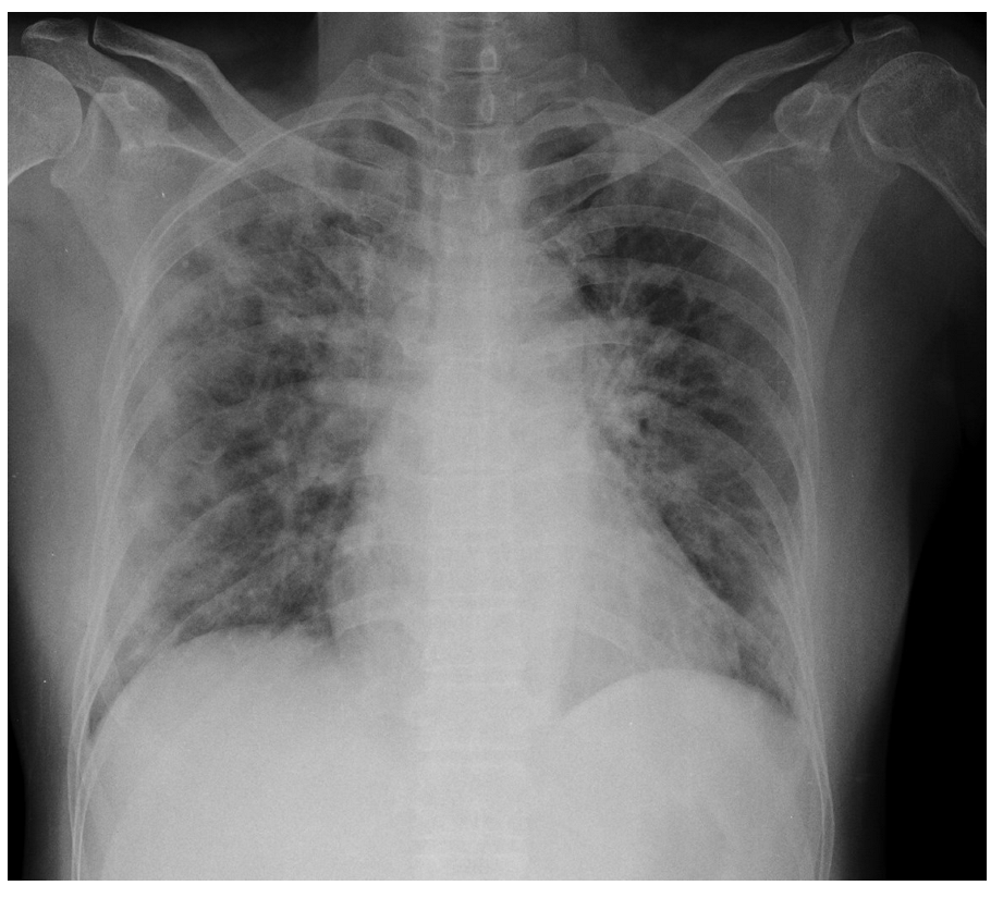 Applsci 13 00454 g009