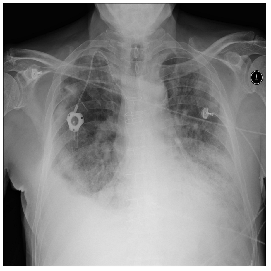 Applsci 13 00454 g010