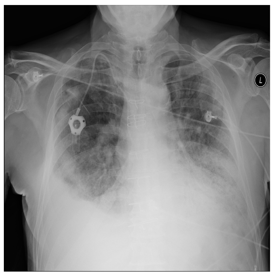 Applsci 13 00454 g012