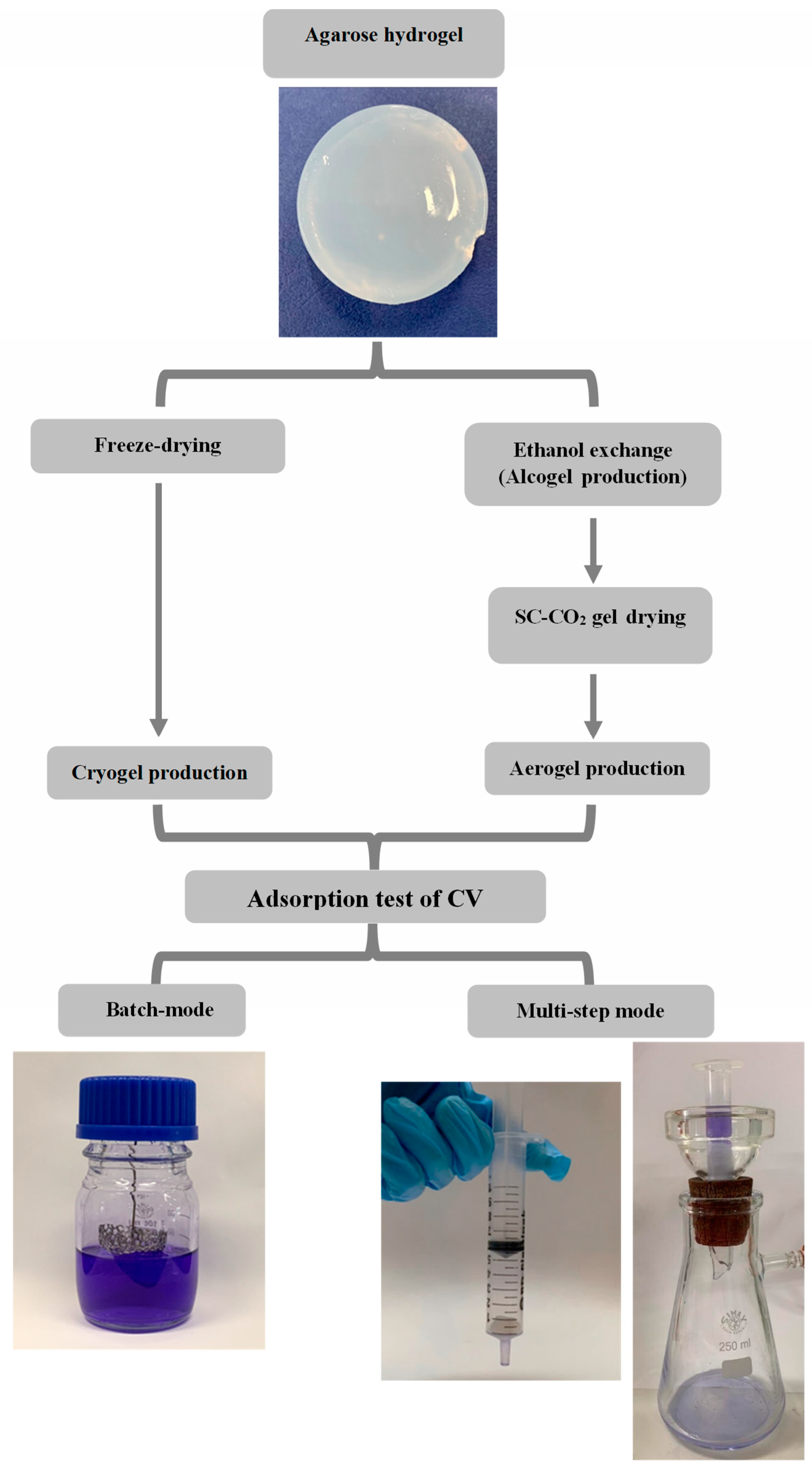 Applsci 13 00463 g001