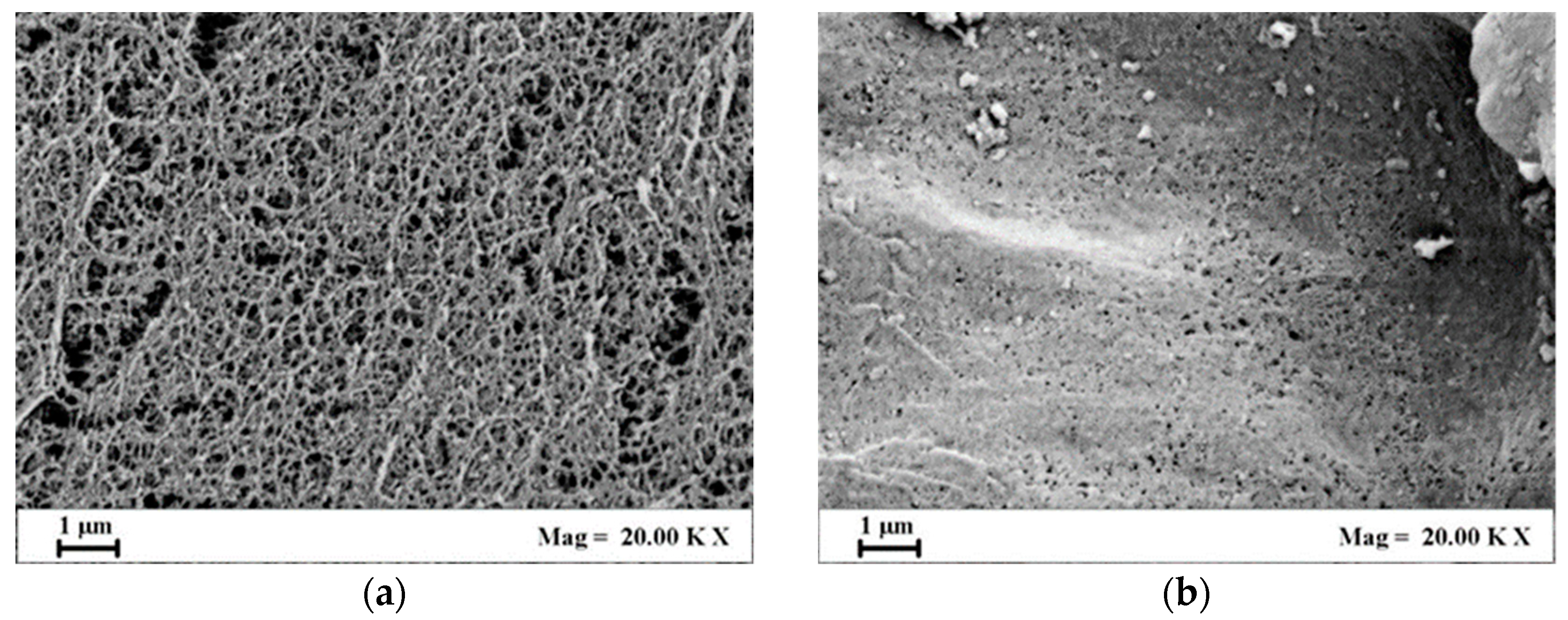 Applsci 13 00463 g002a