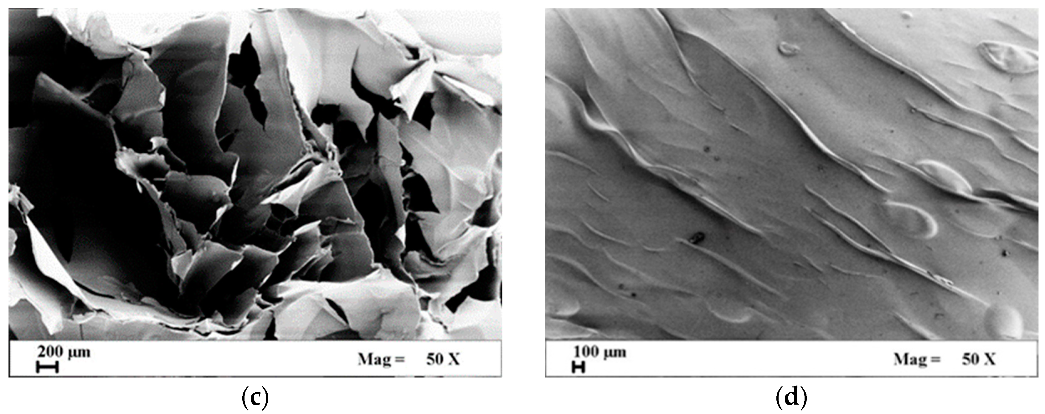 Applsci 13 00463 g002b