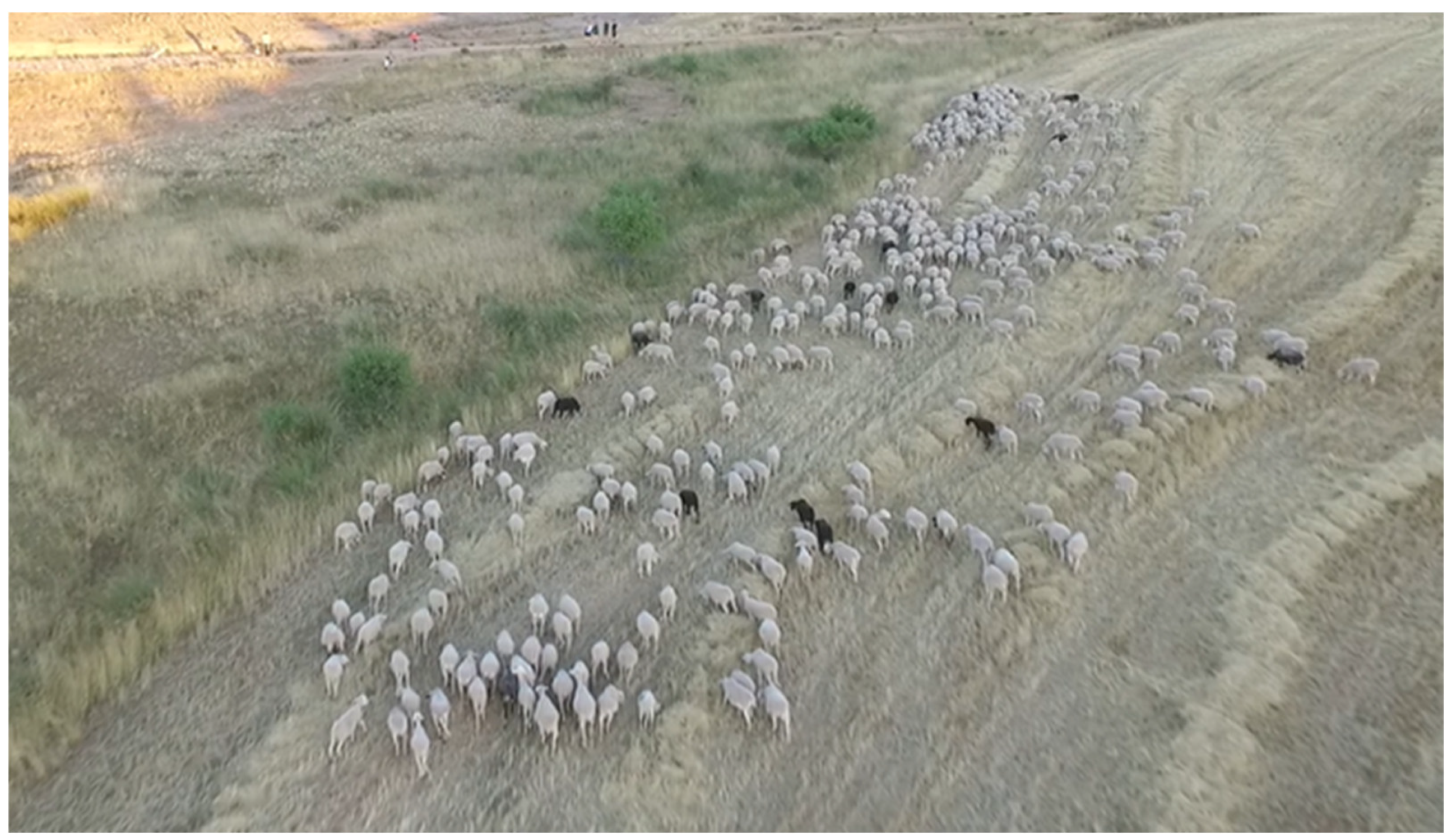 Applsci 13 00471 g012