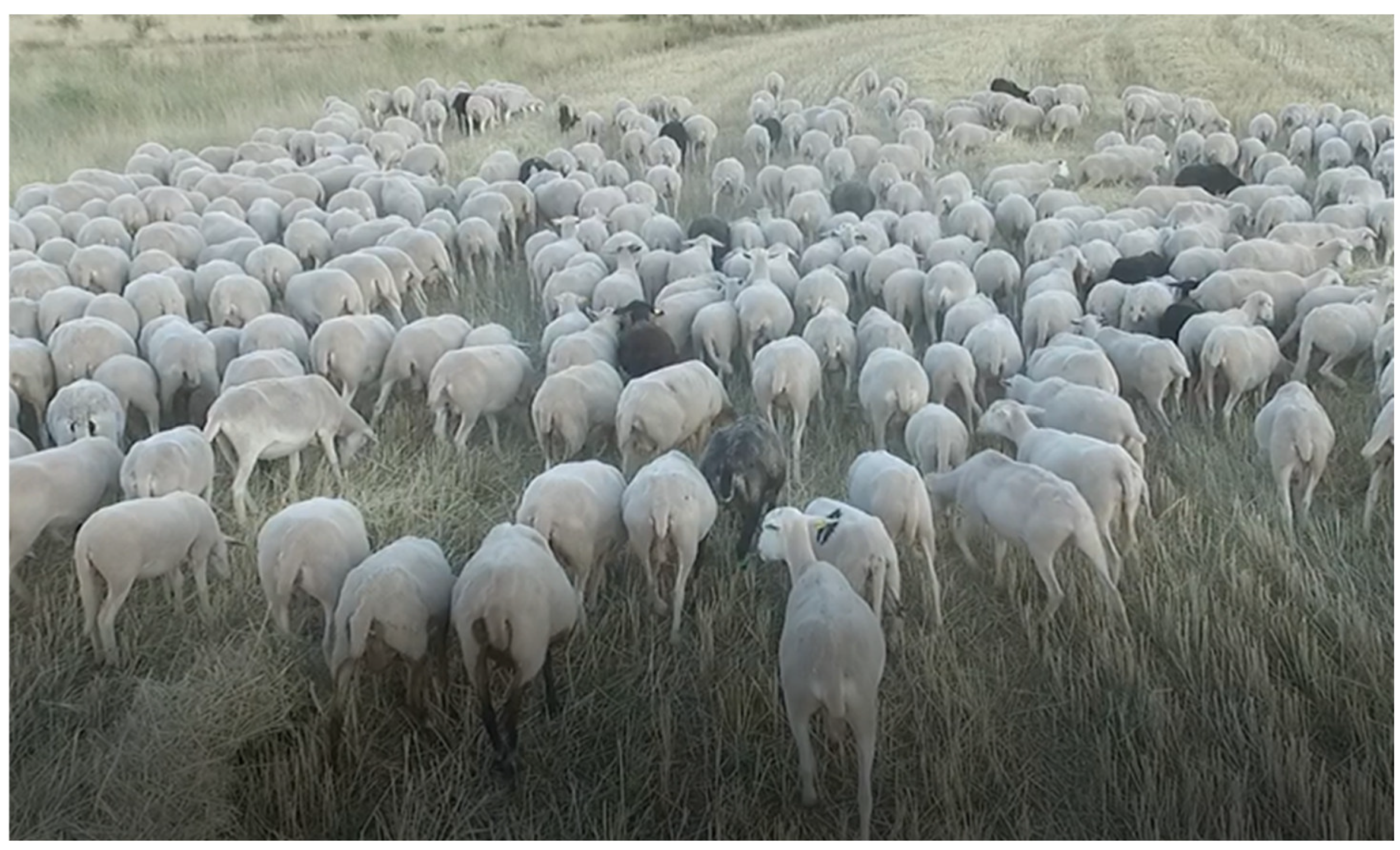 Applsci 13 00471 g013