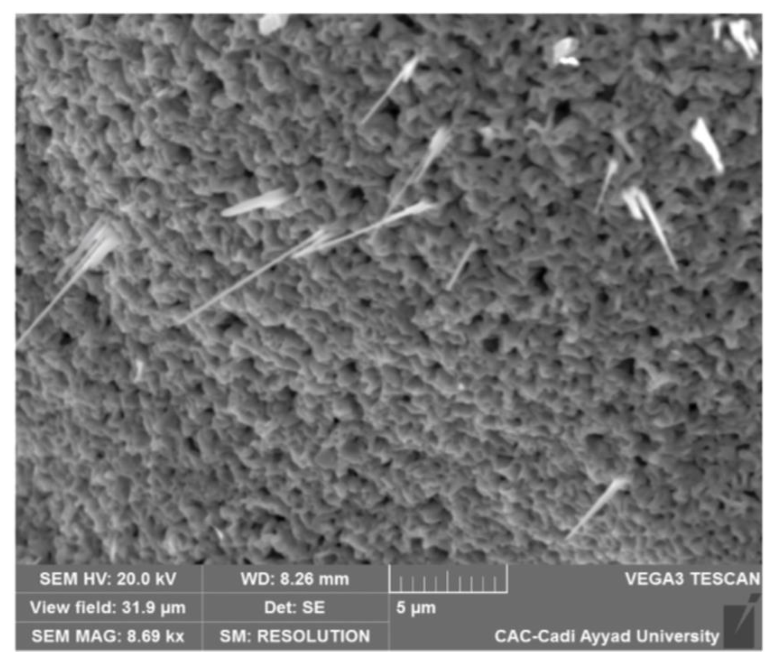 Applsci 13 00488 g001 Applsci 13 00488 g001