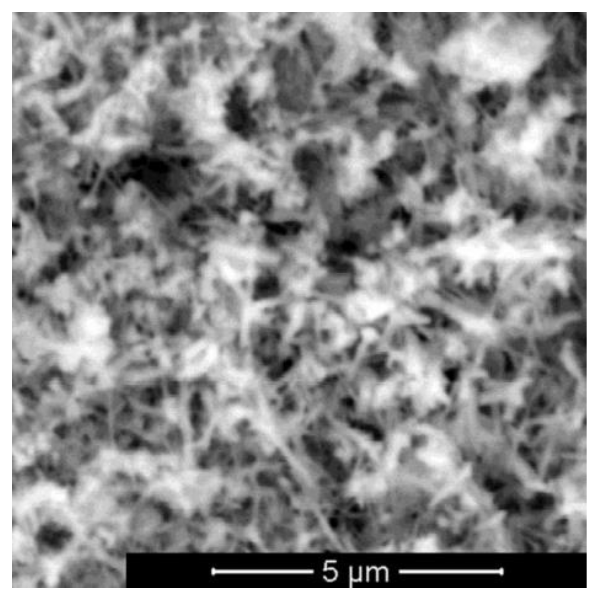 Applsci 13 00488 g011 Applsci 13 00488 g011