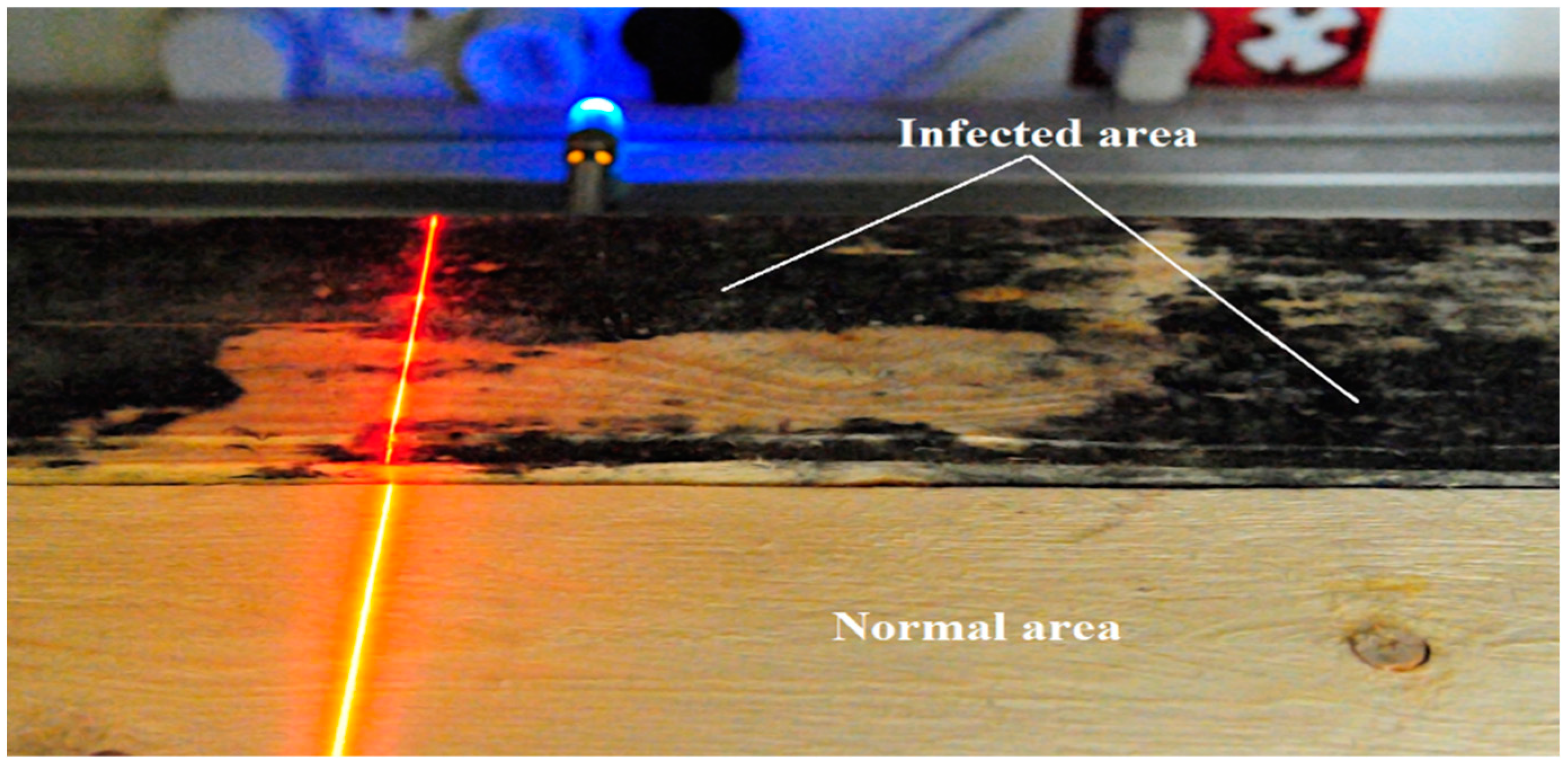 Applsci 13 00490 g005