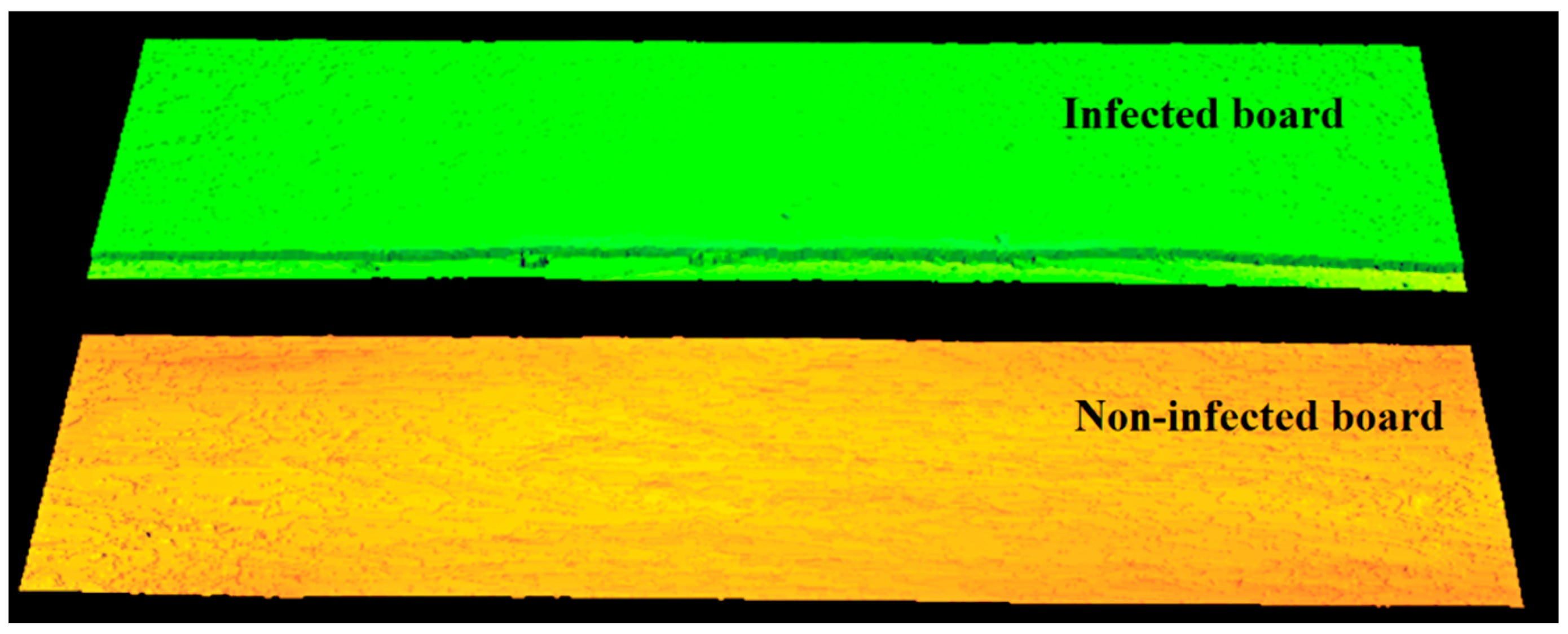 Applsci 13 00490 g006