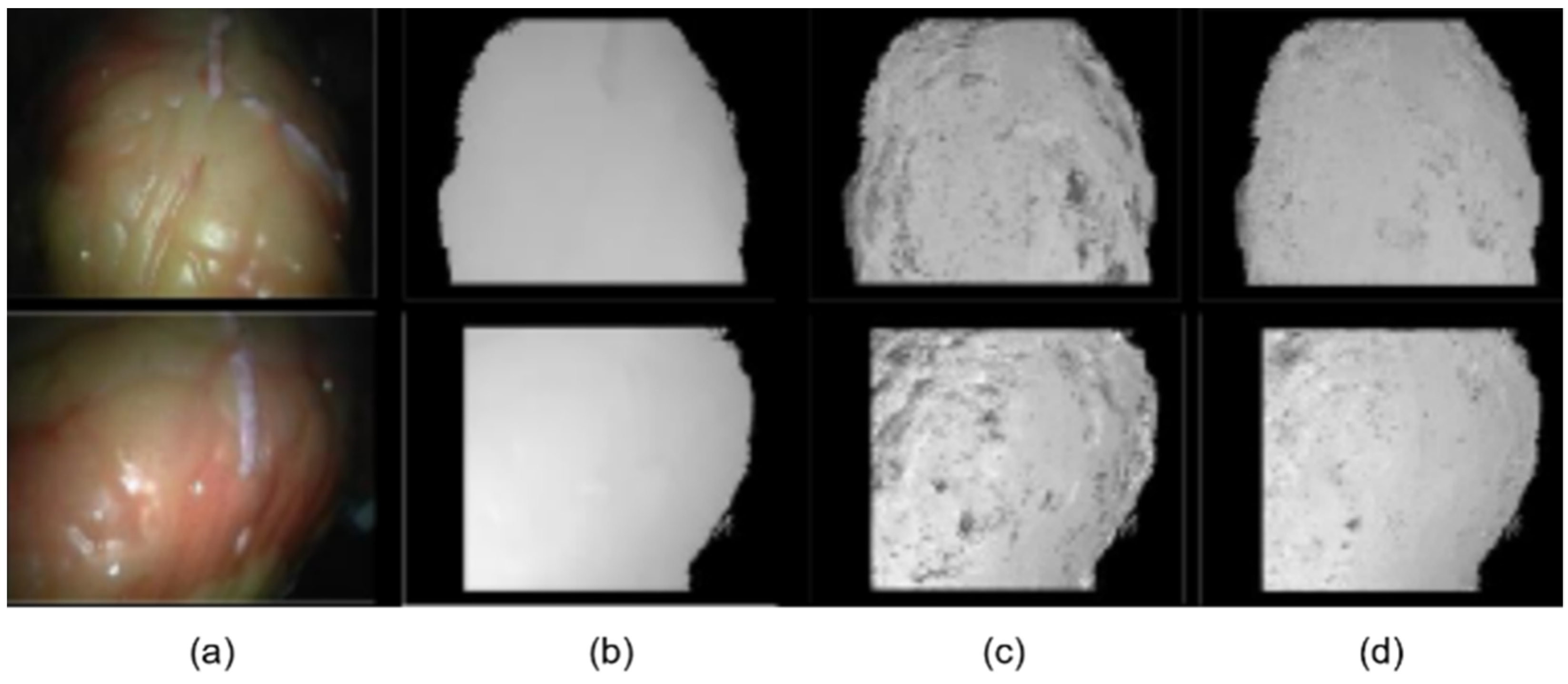 Applsci 13 00514 g002