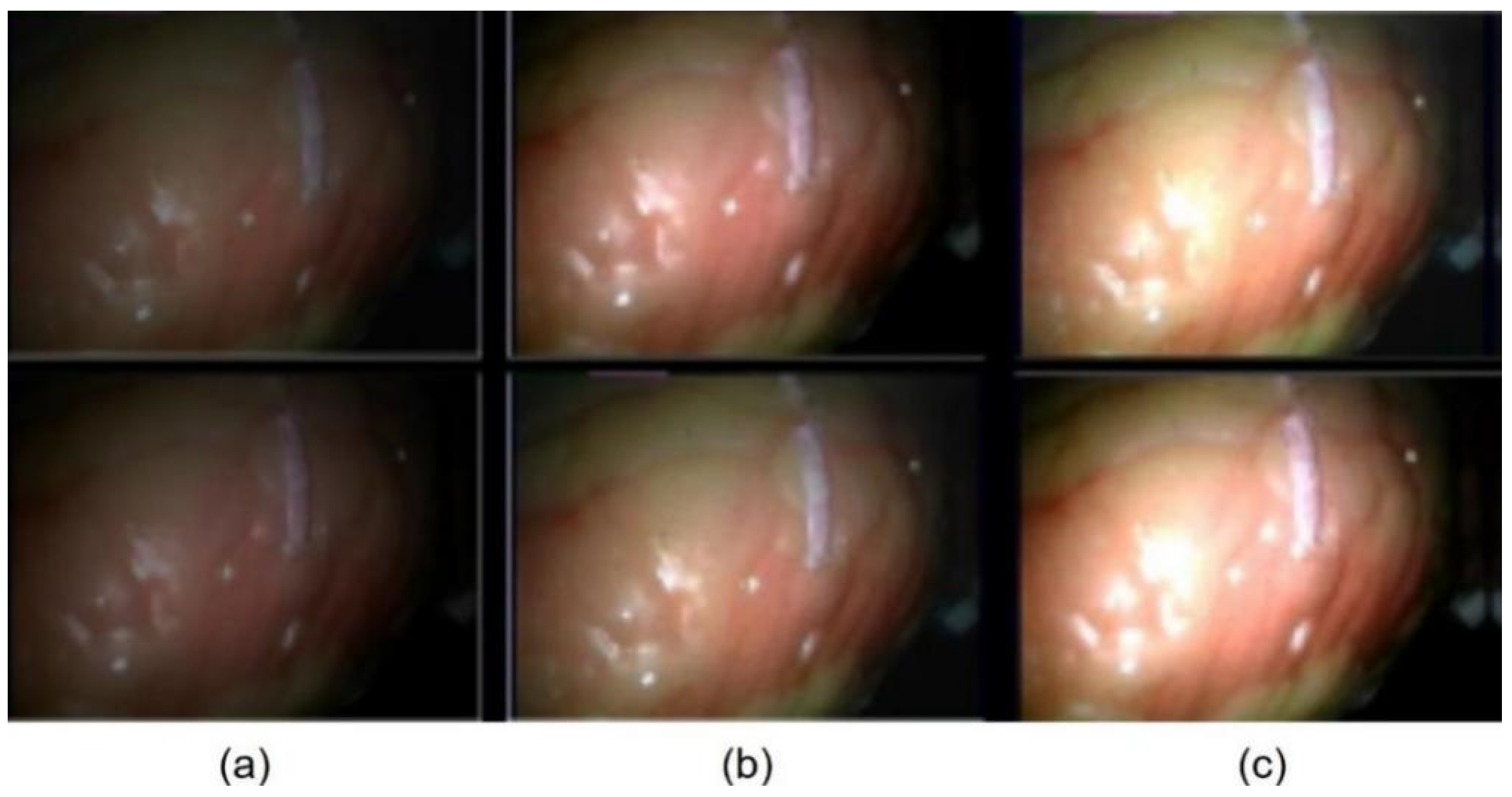 Applsci 13 00514 g003