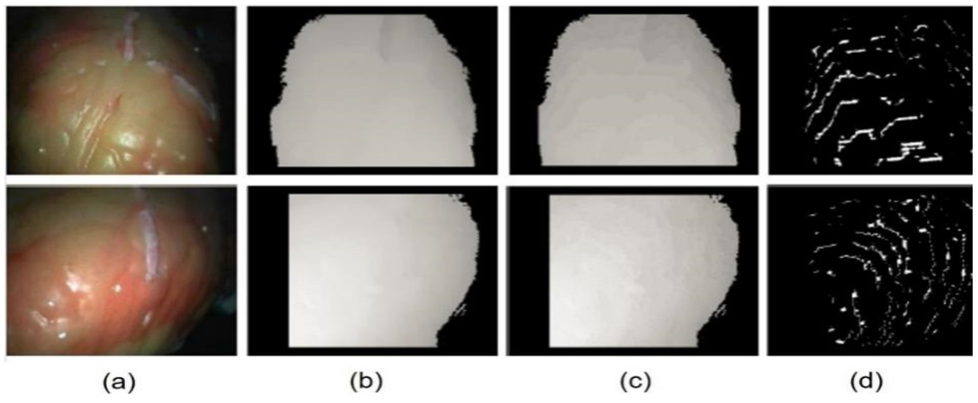 Applsci 13 00514 g008