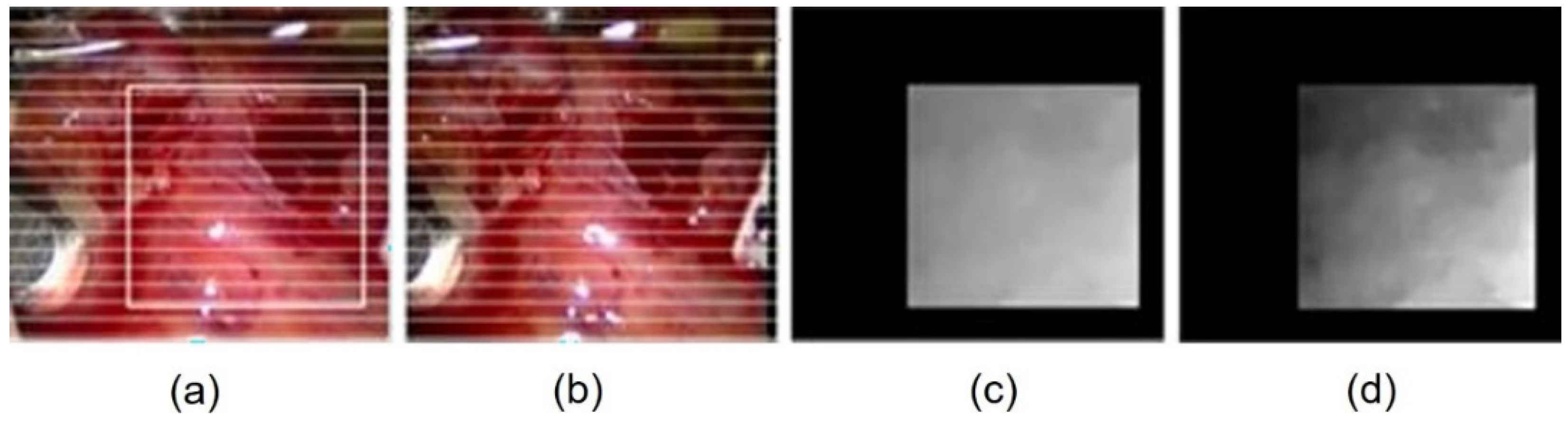 Applsci 13 00514 g010