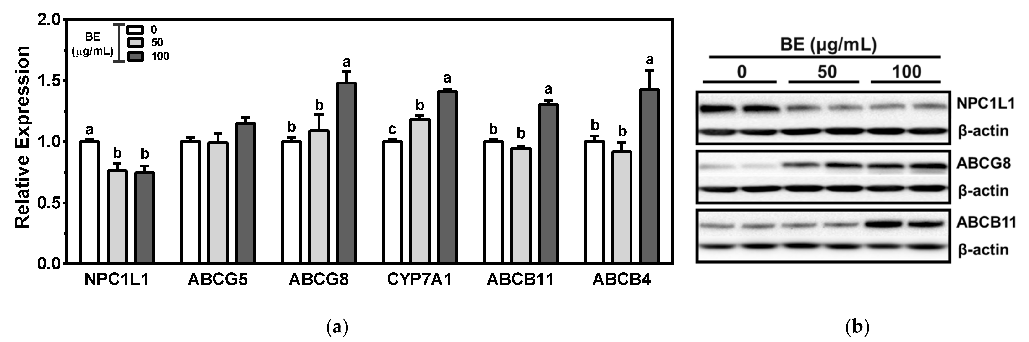 Applsci 13 00516 g004