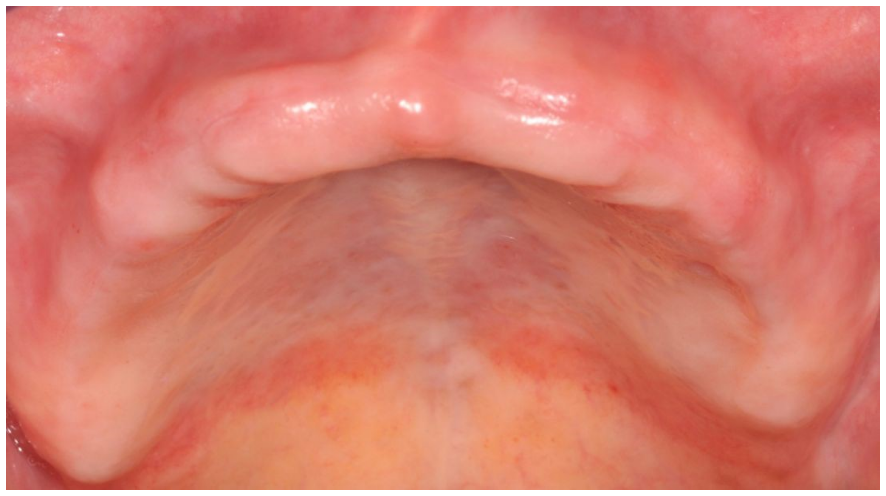 Applsci 13 00538 g002