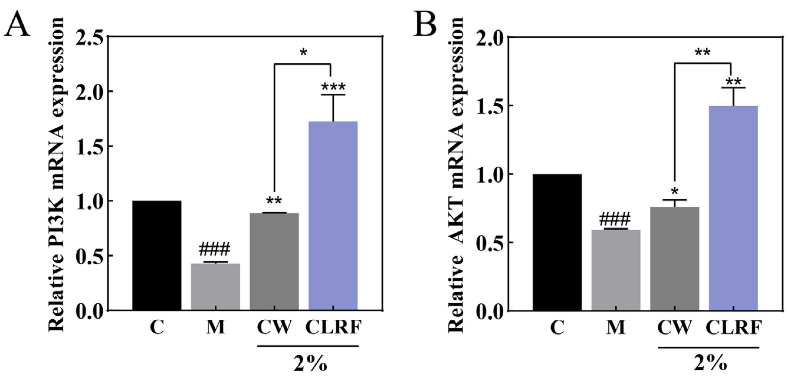 Applsci 13 00540 g005